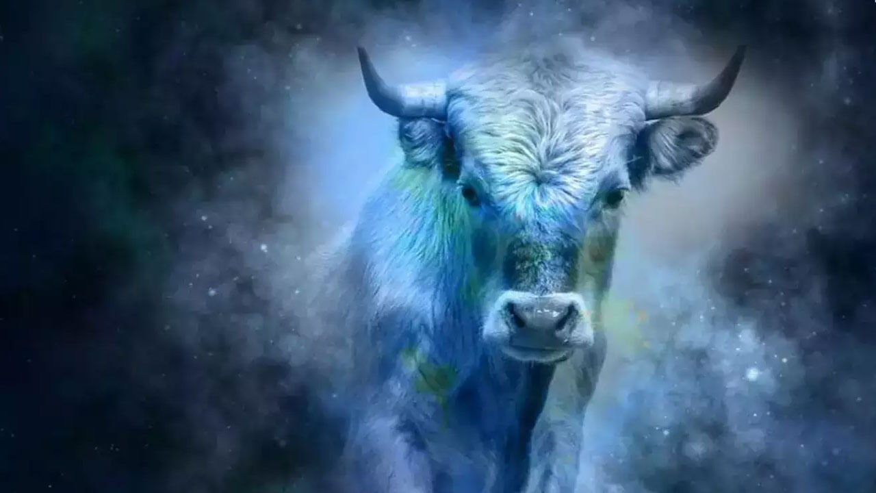 వృషభ రాశి వారికి శుక్రాదిత్య రాజయోగం వలన అద్భుతంగా ఉండబోతుంది. వీరు పట్టిందల్లా బంగారమే కానుంది. ఆర్థిక సమస్యలు తొలిగిపోతాయి. దూరపు ప్రయాణాలు అనుకూలంగా ఉంటాయి. ధనలాభం కలుగుతుంది. చేతినిండా డబ్బే ఉండటం వలన ఎలాంటి సమస్యలు దరి చేరవు.