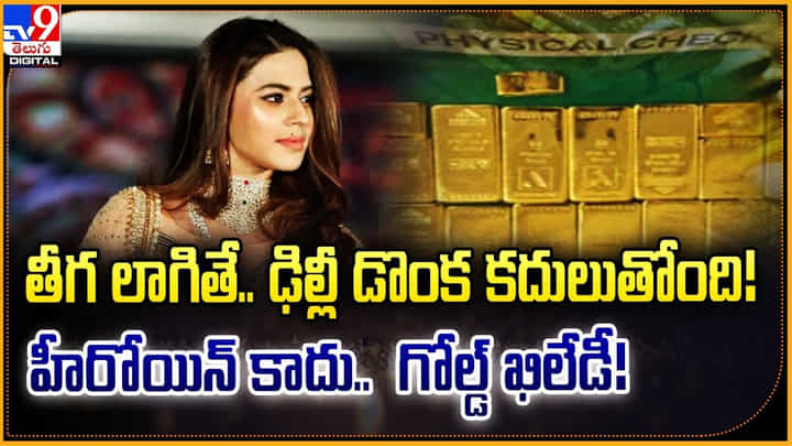 తీగ లాగితే.. ఢిల్లీ డొంక కదులుతోంది! హీరోయిన్ కాదు.. గోల్డ్ ఖిలేడీ! తీగ లాగితే.. ఢిల్లీ డొంక కదులుతోంది! హీరోయిన్ కాదు.. గోల్డ్ ఖిలేడీ!