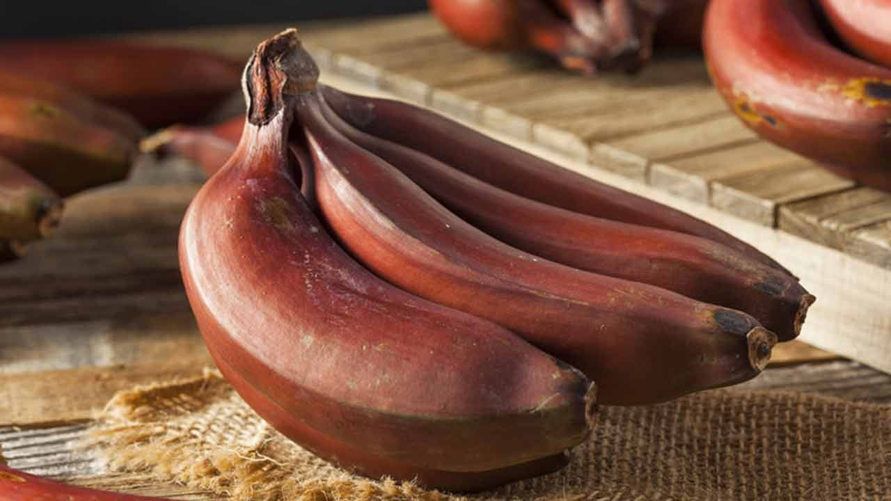 ఎర్రటి అరటి పండులో పొటాషియం సమృద్ధిగా ఉంటుంది. పొటాషియం.. హైపర్‌టెన్షన్‌ను కంట్రోల్‌లో ఉంచుతుంది. ఎర్రటి అరటి పండులో.. మెగ్నీషియం కూడా మెండుగా ఉంటుంది. ఇది అధిక రక్తపోటు ప్రమాదాన్ని తగ్గిస్తుందని నిపుణులు చెబుతున్నారు. పొటాషియ, మెగ్నీషియం గుండెపోటులు, స్ట్రోకులు, గుండె సమస్యలను దూరం చేస్తాయి.