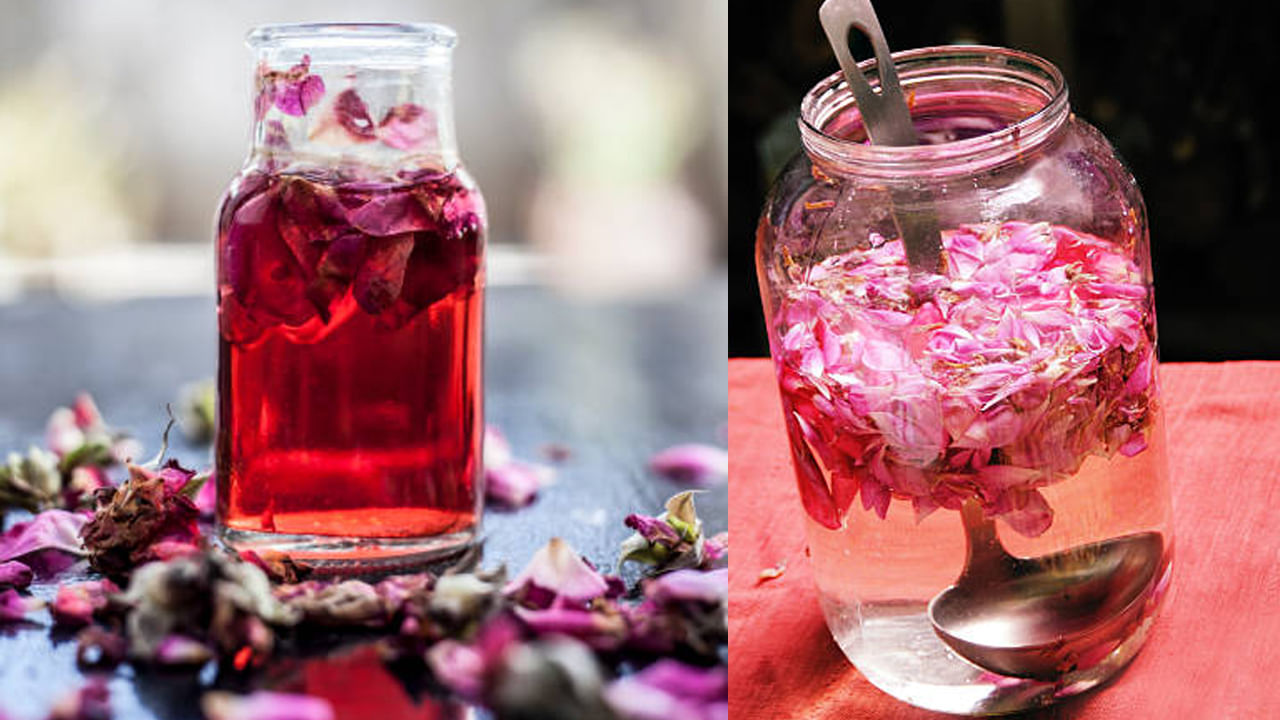 Rose Water: పొడవైన జుట్టు సీక్రెట్.. రోజ్ వాటర్ ఇలా రాస్తే ఒక్క వెంట్రుక కూడా రాలదు..! జుట్టు పెరుగుతూనే ఉంటుంది..