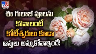 ఇంట్లో నుంచి వింత శబ్దాలు.. తలుపు తీసి చూసి షాక్‌..
