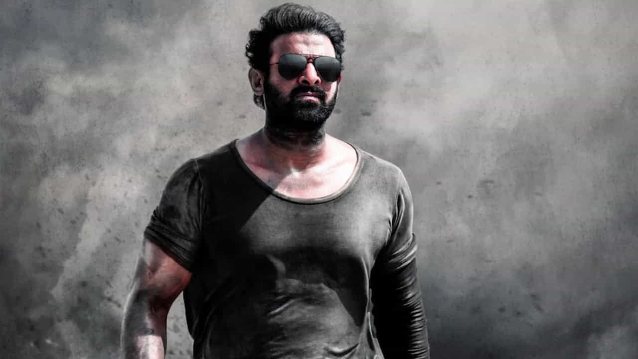 ప్రభాస్ కెరీర్లో బాహుబలి, కల్కి, సలార్ వంటి ఫ్రాంచైజీలలో ప్రధాన పాత్రలు పోషించడంతో స్థాయి పెరిగింది.ఇవి ప్రేక్షకులను ఆకర్షించాయి. బాహుబలి భారీ విజయంతో ఆయన పాన్-ఇండియా స్టార్డమ్ ప్రారంభమైంది. ఇది తెలుగు సినిమాను దాటి ప్రపంచవ్యాప్తంగా ప్రేక్షకుల ఆదరణ పొందింది. సాలార్, RRR వంటి దక్షిణ భారత చిత్రాలు అంతర్జాతీయ ప్రజాదరణ పొందాయి. ముఖ్యంగా USలో వాటికి పెరుగుతున్న ఆదరణతో ప్రపంచవ్యాప్తంగా ప్రజలను ఆకట్టుకుంటున్నాయి.