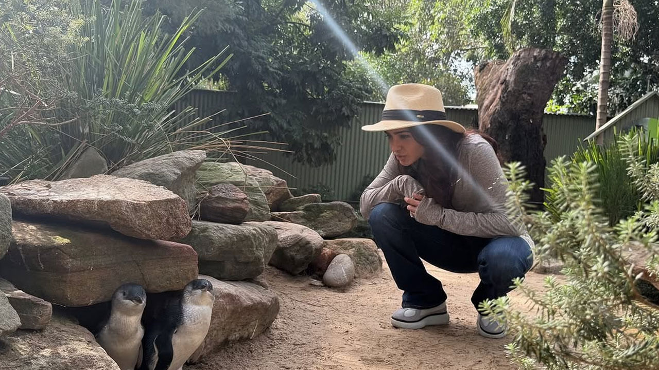 ఎందుకంటే ఈ మధ్య సమంత ఎప్పుడూ డల్‌గా, సీరియస్ లుక్‌లో ఉన్న ఫొటోస్ మాత్రమే షేర్ చేస్తుంది. అయితే  తాజాగా ఈ ముద్దుగుమ్మ ప్రకృతిలో ఆనందంగా ఎంజాయ్ చేస్తున్న ఫొటోలు అభిమానులతో పంచుకుంది. ఇందులో సమంత చాలా సంతోషంగా ఉండటంతో, చాలా రోజుల తర్వాత సామ్ ఫుల్ హ్యాప్పీగా ఉందంటూ తన ఫ్యాన్స్ సంతోషం వ్యక్తం చేస్తున్నారు.