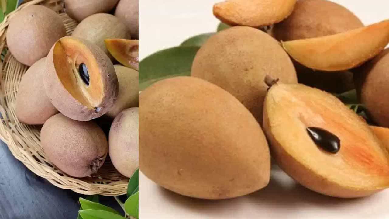 సపోటా పండ్లను రెగ్యూలర్గా తీసుకోవటం వల్ల చర్మ ఆరోగ్యం కూడా బాగుంటుంది. అంతే కాదు జుట్టు ఆరోగ్యానికి కూడా తోడ్పడుతుంది సపోటా. ఈ పండులో విటమిన్ ఇ, ఎ, సి పుష్కలంగా ఉండటం వల్ల చర్మం సహజంగా మెరుస్తుంది. దృష్టి సమస్యలతో బాధపడేవారికి సపోటా మంచిగా పనిచేస్తుంది. విటమిన్ ఎతో నిండి ఉంటుంది.