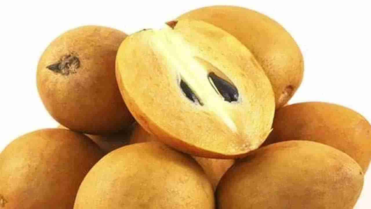 Sapota Benefits: సపోటా ఇలా తింటే నమ్మలేని ఆరోగ్య ప్రయోజనాలు.. శరీరంలో అద్భుతాలు చూస్తారు..!