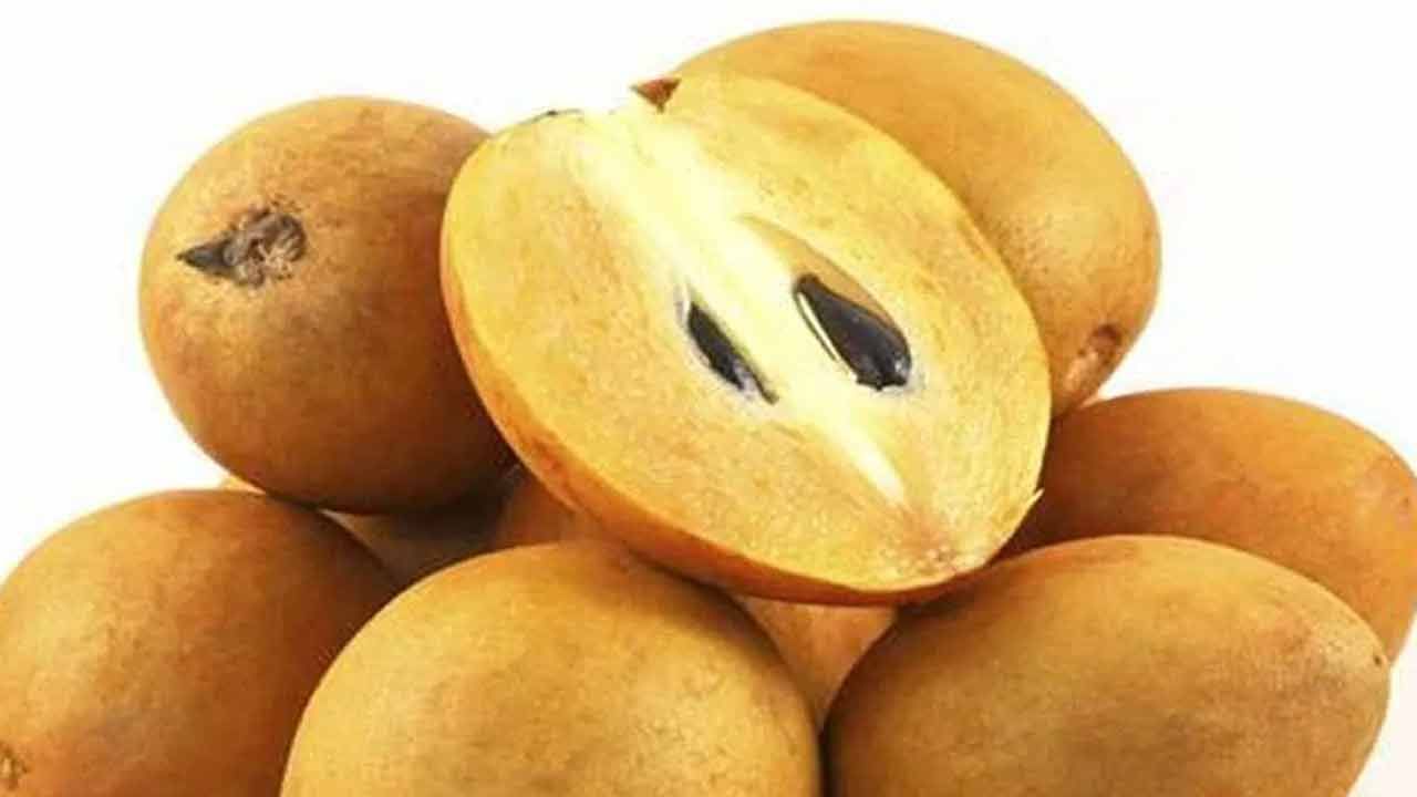 Sapota Benefits: సపోటా ఇలా తింటే నమ్మలేని ఆరోగ్య ప్రయోజనాలు.. శరీరంలో అద్భుతాలు చూస్తారు..!