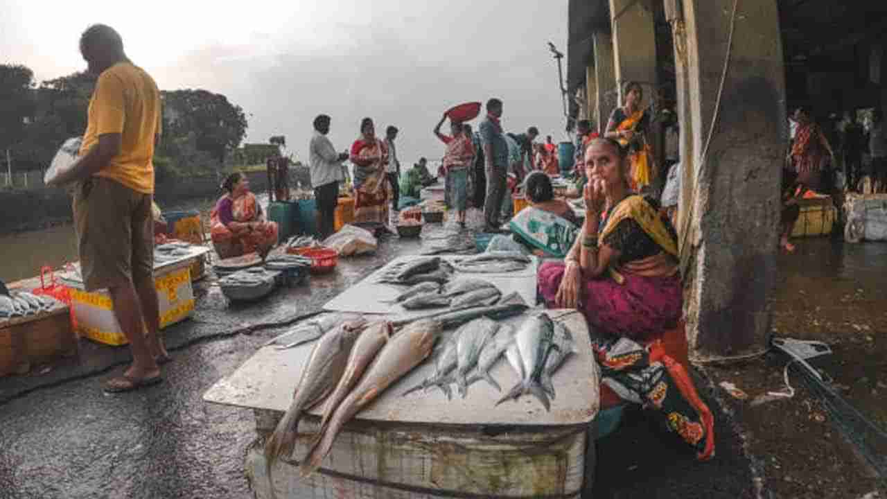 144 ఏళ్లనాటి పురాతనమైన అతిపెద్ద చేపల మార్కెట్..? ఇక్కడి అతి తక్కువ ధరలు తెలిస్తే ఎగిరి గంతేస్తారు.. ఎక్కడంటే..