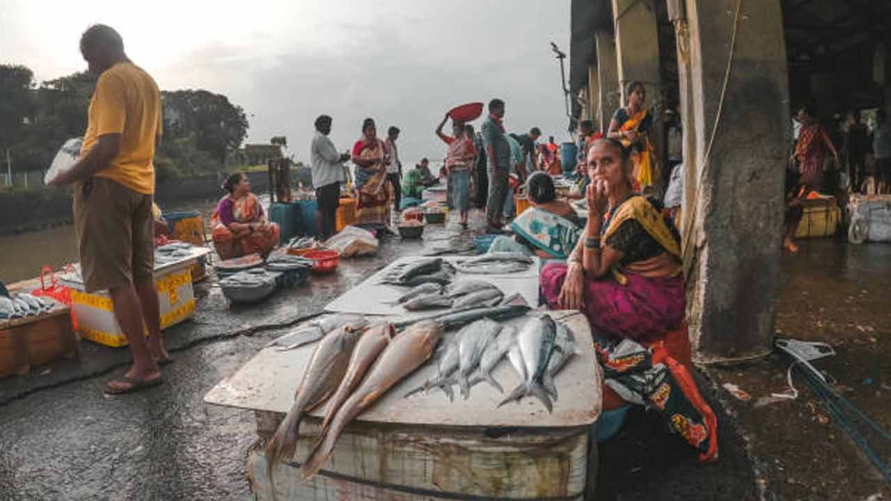 144 ఏళ్లనాటి పురాతనమైన అతిపెద్ద చేపల మార్కెట్..? ఇక్కడి అతి తక్కువ ధరలు తెలిస్తే ఎగిరి గంతేస్తారు.. ఎక్కడంటే..