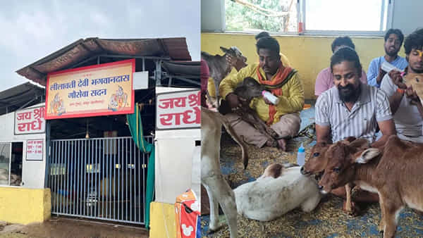 Unique Temple: ఈ ఆలయంలో డబ్బులకు చోటు లేదు.. శ్రమే విరాళం.. భజనలు వినే ఆవులు.. ఎక్కడంటే