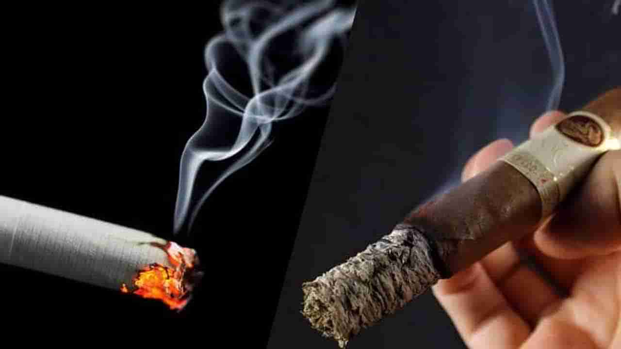 Cigarettes: సిగరెట్లు తాగితే ఎందుకు మజా వస్తుందో తెలుసా? దీని వెనుక సైన్స్ రహస్యం ఇదే