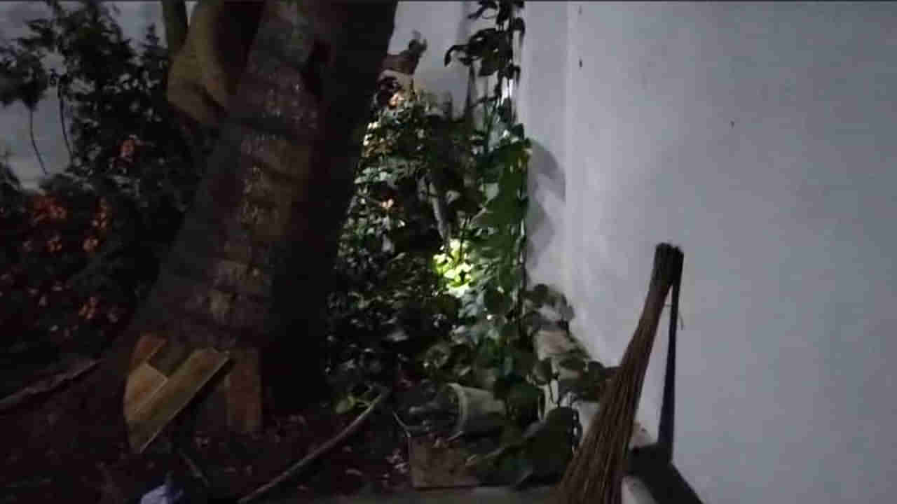 Konaseema: అర్ధరాత్రి ఇంటి ఆవరణలో వింత శబ్దాలు.. ఏంటా అని వెళ్లి చూడగా