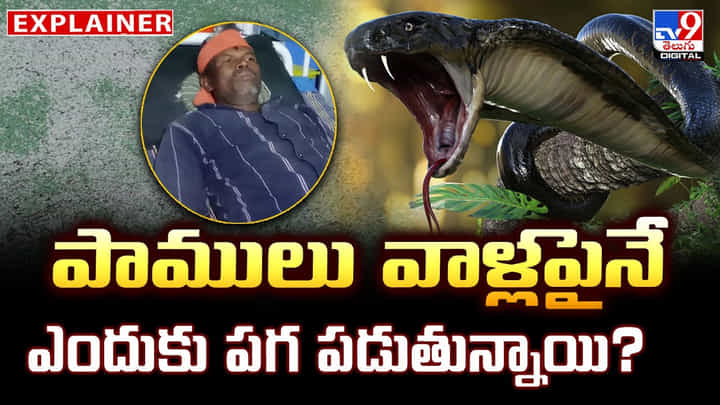 పాములు వాళ్లపైనే.. ఎందుకు పగ పడుతున్నాయి? పాములు వాళ్లపైనే.. ఎందుకు పగ పడుతున్నాయి?