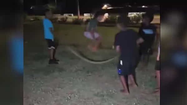 Viral Video: ఒరెయ్.. అది కొండచిలువరా... స్కిప్పింగ్ తాడు కాదు...