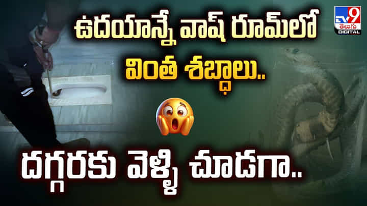 ఉదయాన్నే వాష్ రూమ్ లో వింత శబ్ధాలు.. దగ్గరకు వెళ్ళి చూడగా.. ఉదయాన్నే వాష్ రూమ్ లో వింత శబ్ధాలు.. దగ్గరకు వెళ్ళి చూడగా..