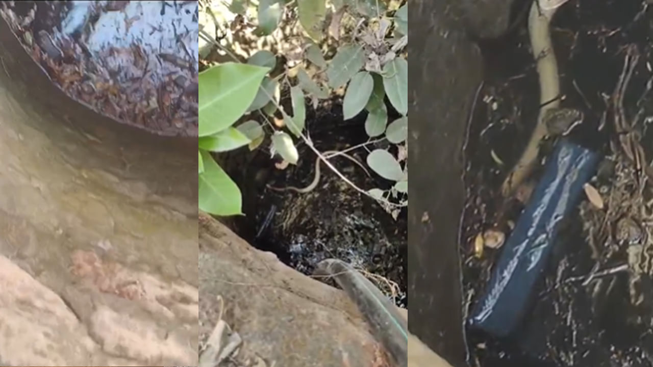 Uppaka: పాడు బడ్డ బావి నుంచి అదే పనిగా చప్పుళ్లు.. ఏంటా అని వెళ్లి చూడగా