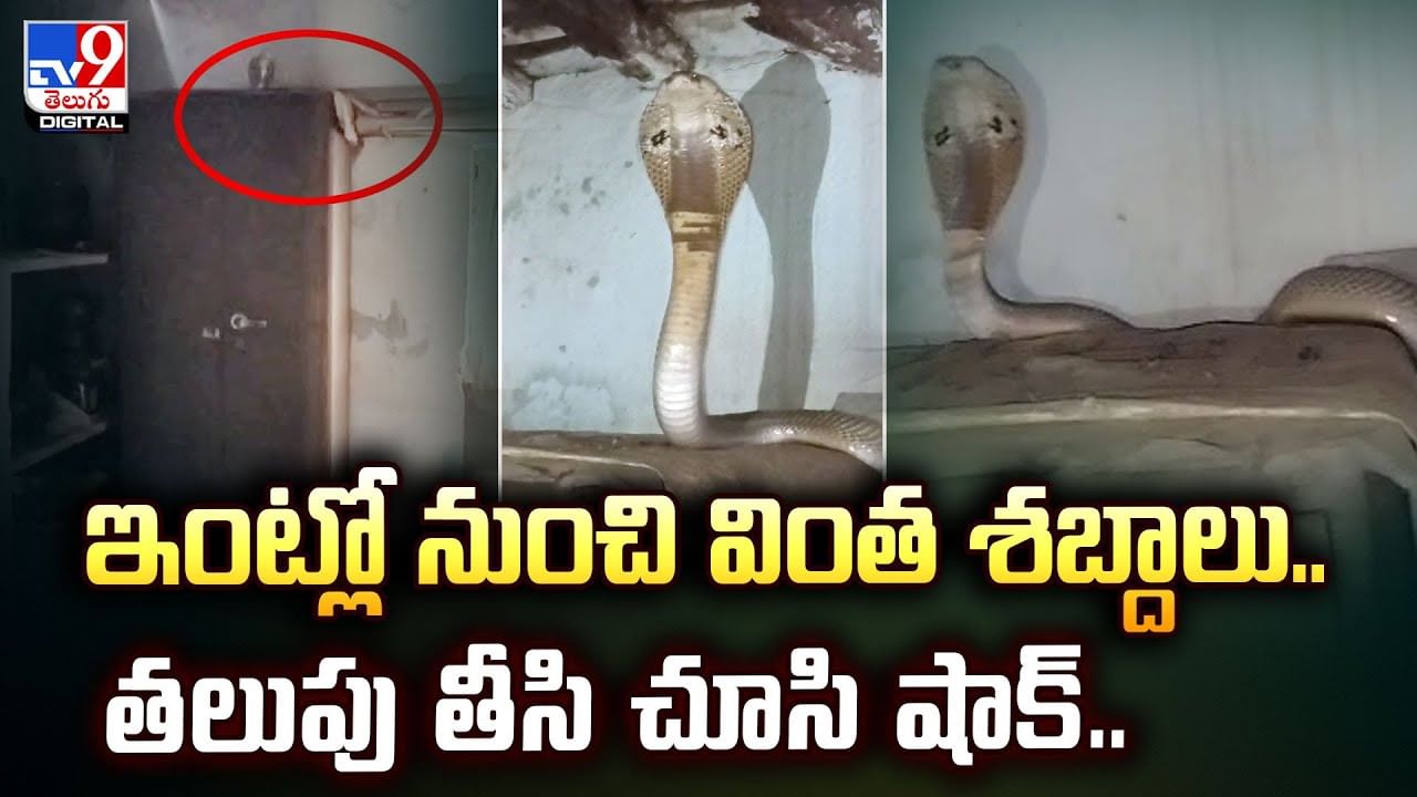 ఇంట్లో నుంచి వింత శబ్దాలు.. తలుపు తీసి చూసి షాక్‌..