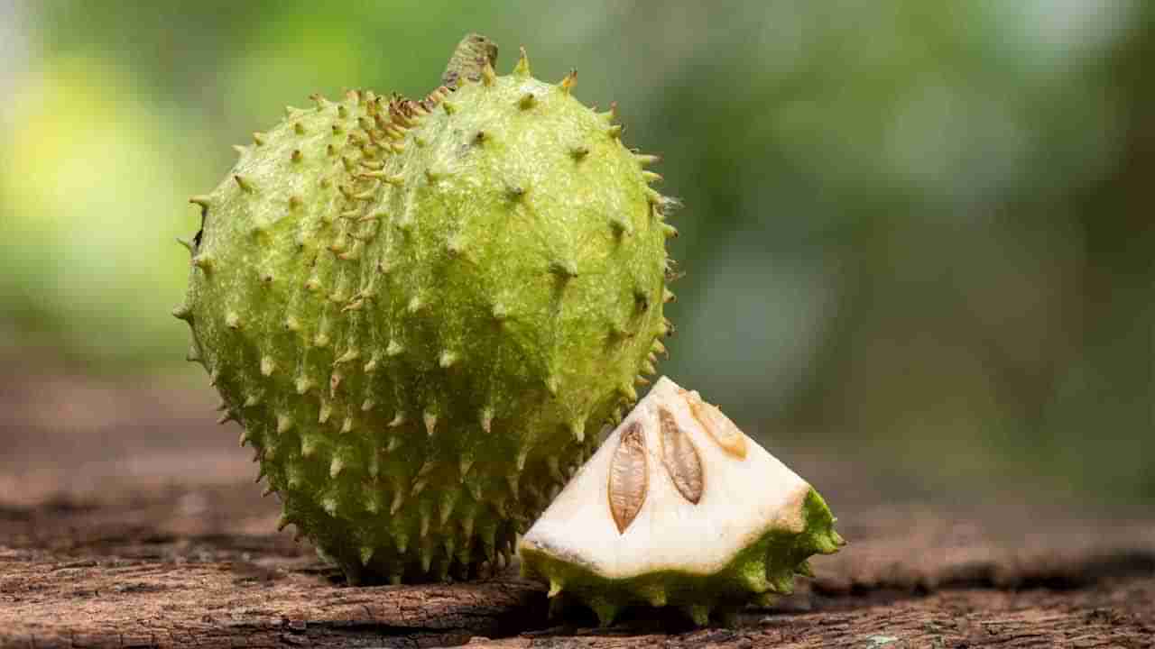 Soursop Fruit: ఈ పండు క్యాన్సర్‌కు దివ్యౌషధం.. ఏడాదికి ఒక్కసారైనా తినాల్సిందే
