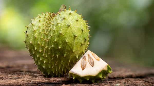 Soursop Fruit: ఈ పండు క్యాన్సర్కు దివ్యౌషధం.. ఏడాదికి ఒక్కసారైనా తినాల్సిందే