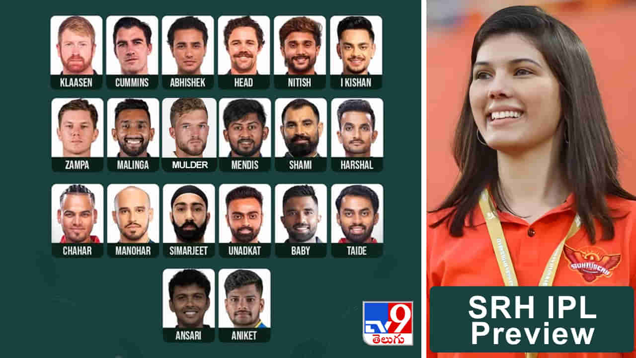 SRH IPL 2025 Preview: ఈసారి కప్పు పక్కా.. అందరూ డైనోసర్లే.. బరిలోకి దిగితే బాక్సులు బద్దలవ్వాల్సిందే