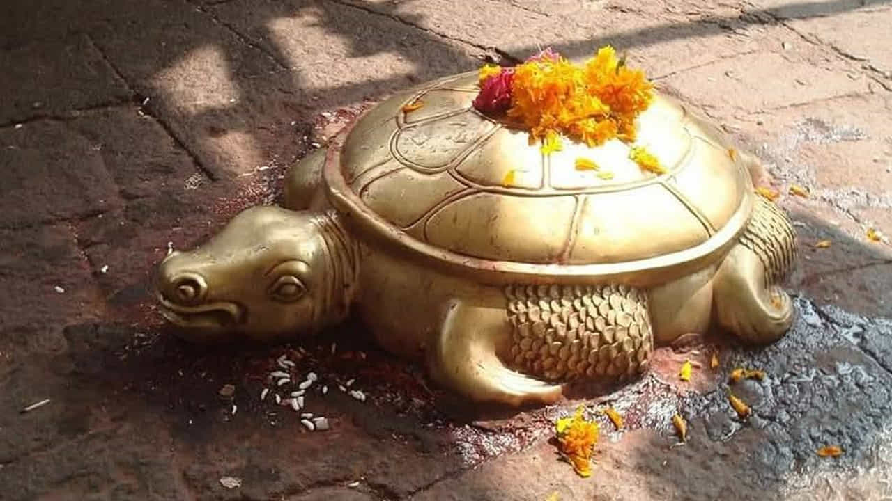అత్యంత పవిత్రమైన పుష్కరిణి దగ్గర పితృ కర్మలను చేసి.. పితృదేవతల అస్థికలు కలిపితే.. అవి కొంతకాలానికి సాలగ్రామ శిలలుగా మారుతాయని స్థానికుల విశ్వాసం. అందుకనే కాశికి వెళ్ళలేని వారు తమ పితృదేవతల అస్థికలను కలిపేందుకు వస్తారు,