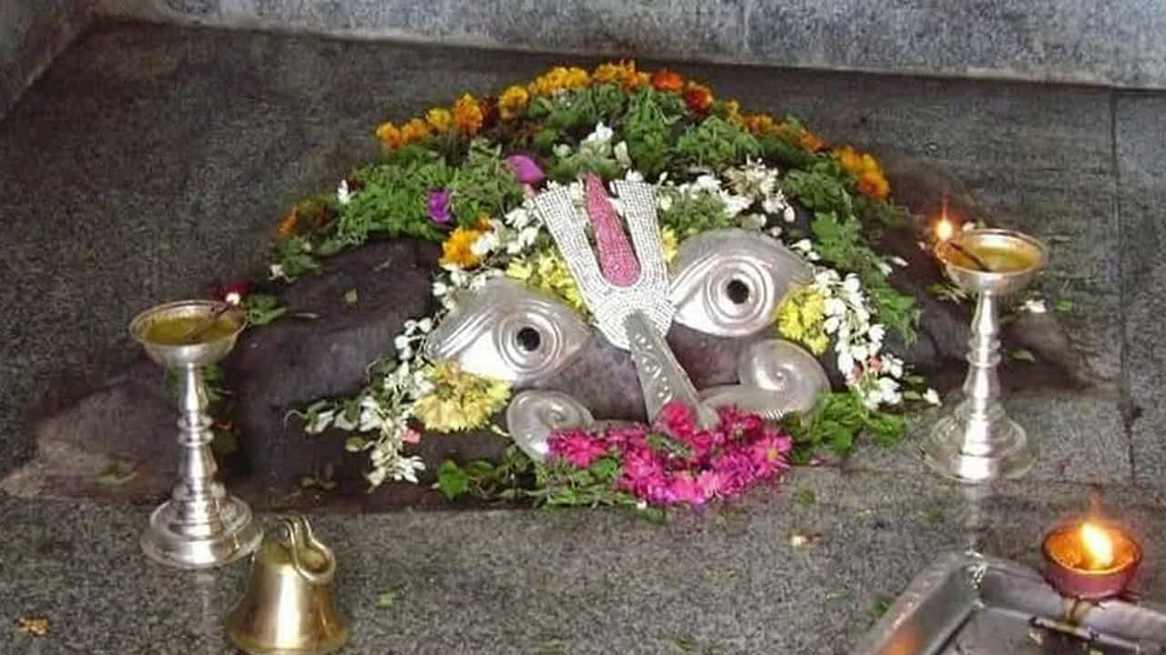 పితృ కార్యం అంటే అందరికీ ముందుగా గుర్తొచ్చేది కాశీ. అయితే వారణాసితో సమానమైన ఫలాలను అందించే క్షేత్రం ఒకటి ఆంద్రప్రదేశ్ లో ఉంది. కాశికి వెళ్ళలేని వారు ఈ క్షేత్రానికి వెళ్లి పితృ కర్మలను నిర్వహిస్తారు. వారణాసి నుంచి గంగా దేవి ప్రతి మాఘ మాసం శుద్ధ చవితి రోజున ఈ క్షేత్రంలో ఉన్న శ్వేతపుష్కరిణిలో స్నానమాచరిస్తుందని నమ్మకం. అంతేకాదు తాము ఈ పుష్కరిణిలో విడిచిన పాపాలను గంగా దేవి ప్రక్షాళన చేస్తుందని విశ్వాసం. ఆ పవిత్ర క్షేత్రం శ్రీ కూర్మం.