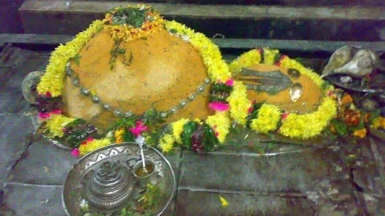 కూర్మ పురాణం ప్రకారం.. దేవదానవులు అమృతం కోసం క్షీర సాగరాన్ని మదించదానికి వాసుకిని తాడుగా మందర పర్వతాన్ని కవ్వంగా చేసుకున్నారు. సముద్రంలో పర్వతం నిలవడానికి ఆధారం లేకపోవడంతో మునిగిపోతుంది. అప్పుడు దేవతలు శ్రీ మహా విష్ణువుని ప్రార్థించగా... విష్ణువు కూర్మావతారం దాల్చి.. తన మోపురం మీద మందర పర్వతాన్ని నిలిపాడు. ఆ కూర్మ రూపాన్ని బ్రహ్మదేవుడే స్వయంగా శ్రీ కూర్మంలో ప్రతిష్ఠించాడని స్థల పురాణం. ఈ క్షేత్ర ప్రస్తావన పద్మ పురాణంలోనూ, బ్రహ్మాండ పురాణంలోనూ కనిపిస్తుంది.