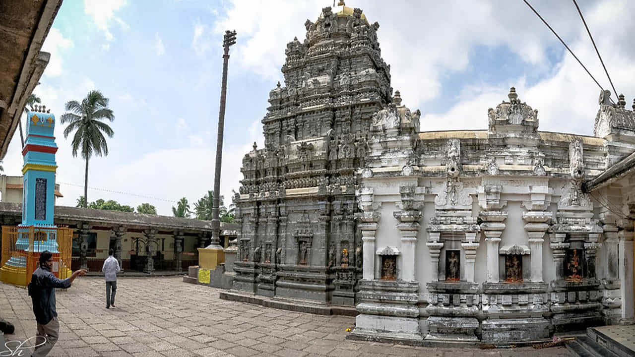 శ్రీకాకుళం జిల్లాలోని గార మండలంలో ఉన్న ఈ ఆలయం బ్రహ్మ ప్రతిష్ఠించిన పంచలింగ క్షేత్రంగా ప్రసిద్ధి. ఎక్కడా లేని విధంగా ఈ ఆలయంలో రెండు ధ్వజస్తంభాలున్నాయి. అంతేకాదు.. ఇక్కడ గర్భ గుడిలో కొలువైన కూర్మనాథ స్వామివారు పడమటి ముఖంగా ఉంటారు.