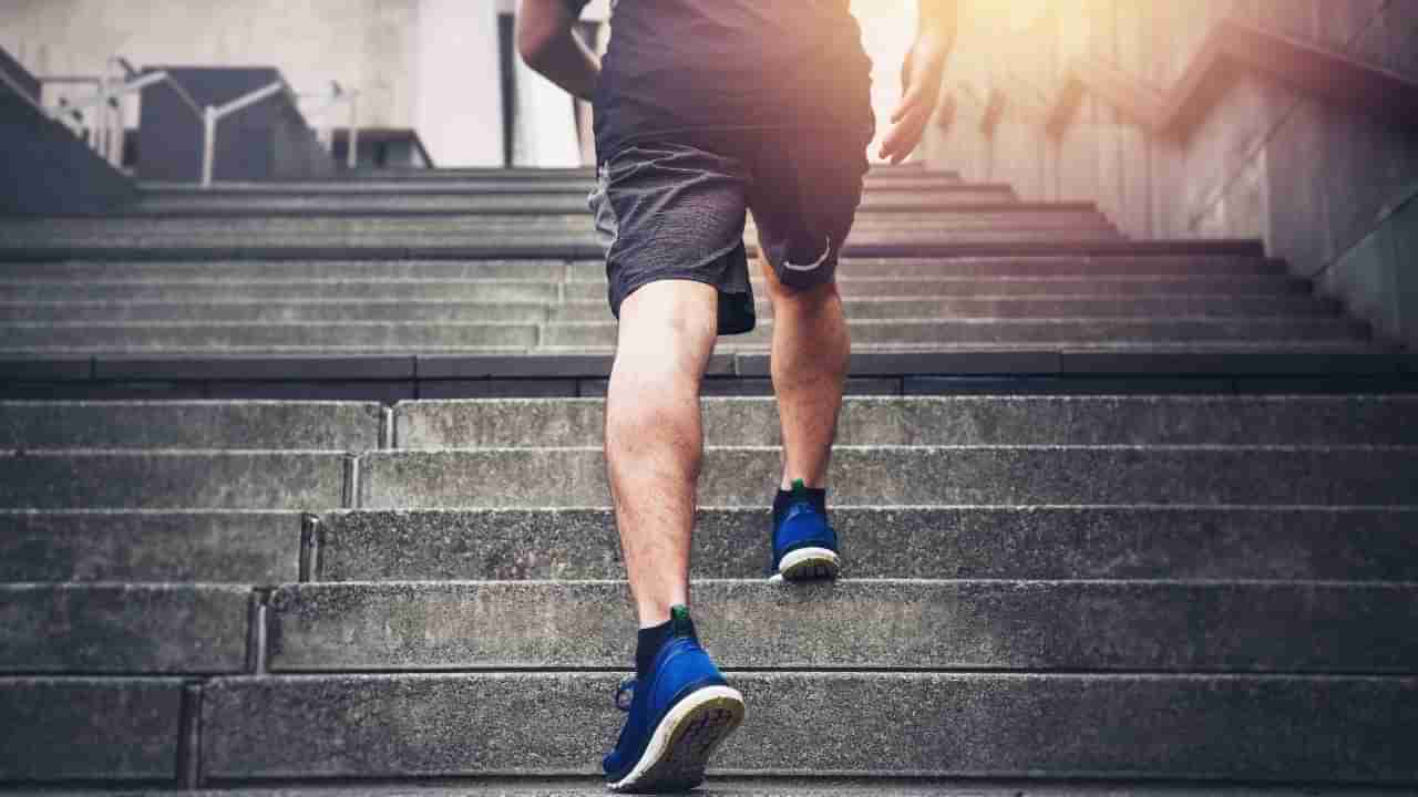 Climb Stairs: మెట్లు ఎక్కడం వల్ల ఇన్ని ప్రయోజనాలా..! తెలిస్తే లిఫ్ట్​ అస్సలు యూజ్ చేయరు..!