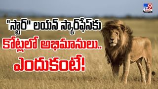 భార్య వేధింపులతో నరకం చూస్తున్నా.. కాపాడండి బాబోయ్