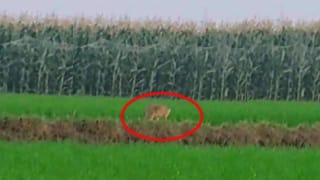 మాజీమంత్రి మల్లారెడ్డి పేరున్న స్టిక్కర్‌తో కారు బీభత్సం.. దర్యాప్తు చేస్తున్న పోలీసులు