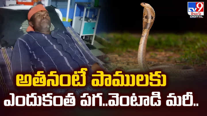 అతనంటే పాములకు ఎందుకంత పగ..వెంటాడి మరీ వీడియో అతనంటే పాములకు ఎందుకంత పగ..వెంటాడి మరీ వీడియో