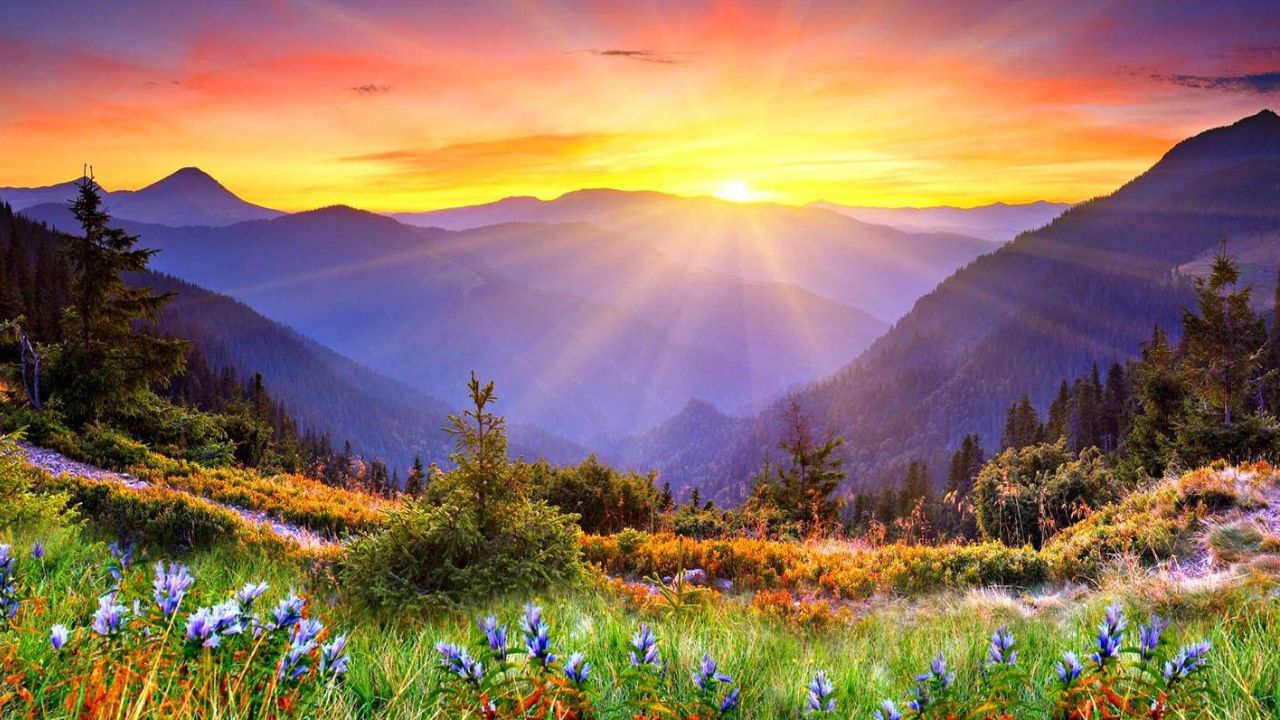 Sun Rise