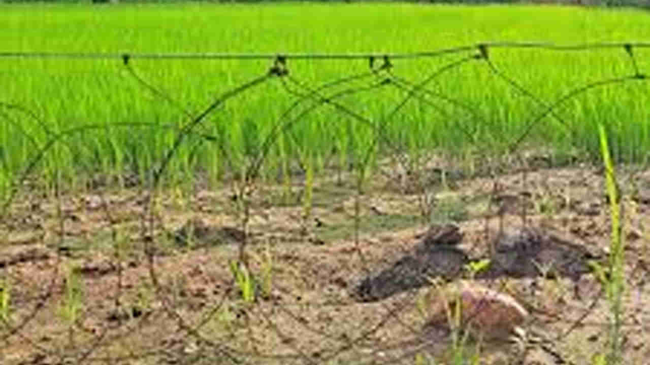 Telangana: అన్నదాతల పాలిట మృత్యువుగా మారిన విద్యుత్ తీగలు.. ఇద్దరు రైతులు మృతి