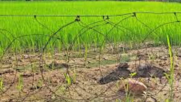 Telangana: అన్నదాతల పాలిట మృత్యువుగా మారిన విద్యుత్ తీగలు.. ఇద్దరు రైతులు మృతి