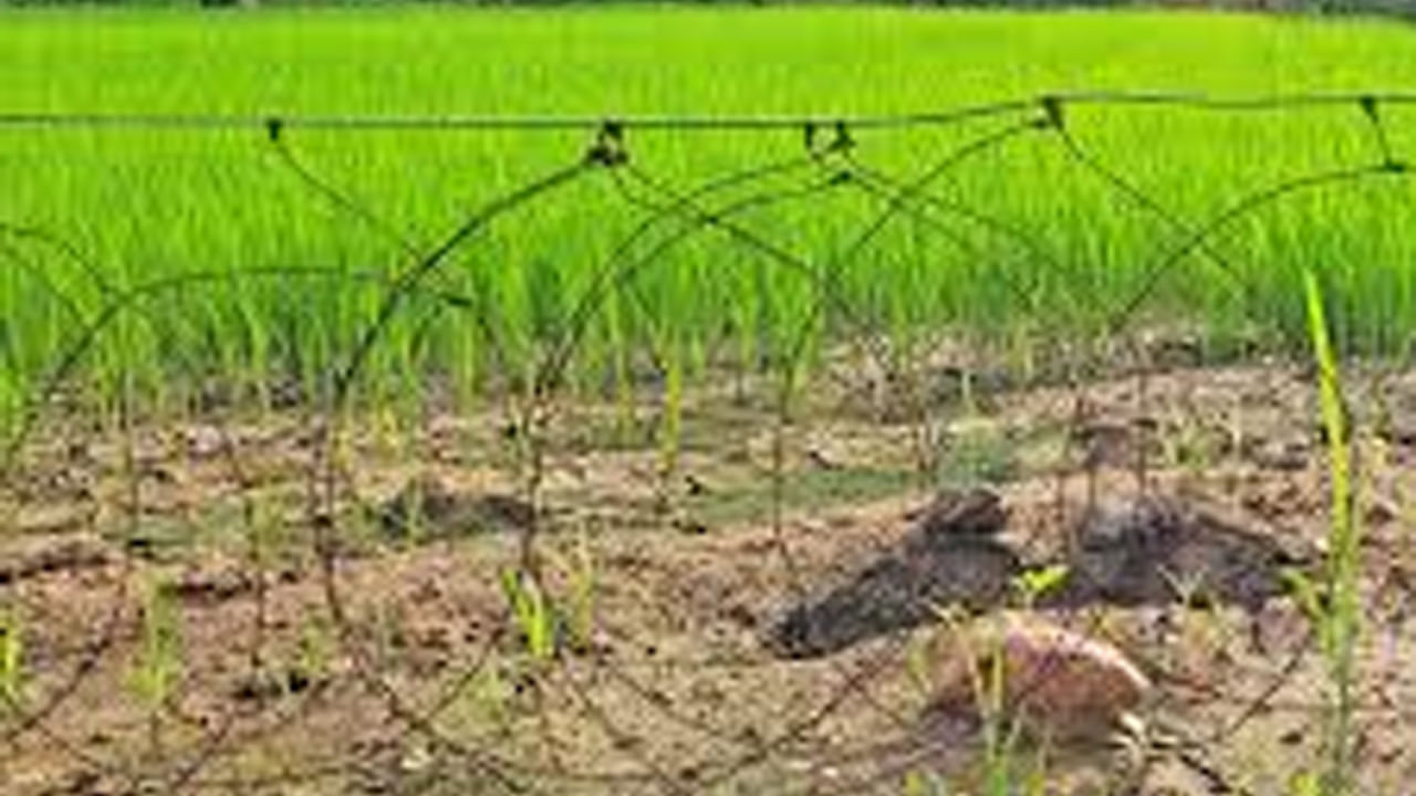 Telangana: అన్నదాతల పాలిట మృత్యువుగా మారిన విద్యుత్ తీగలు.. ఇద్దరు రైతులు మృతి