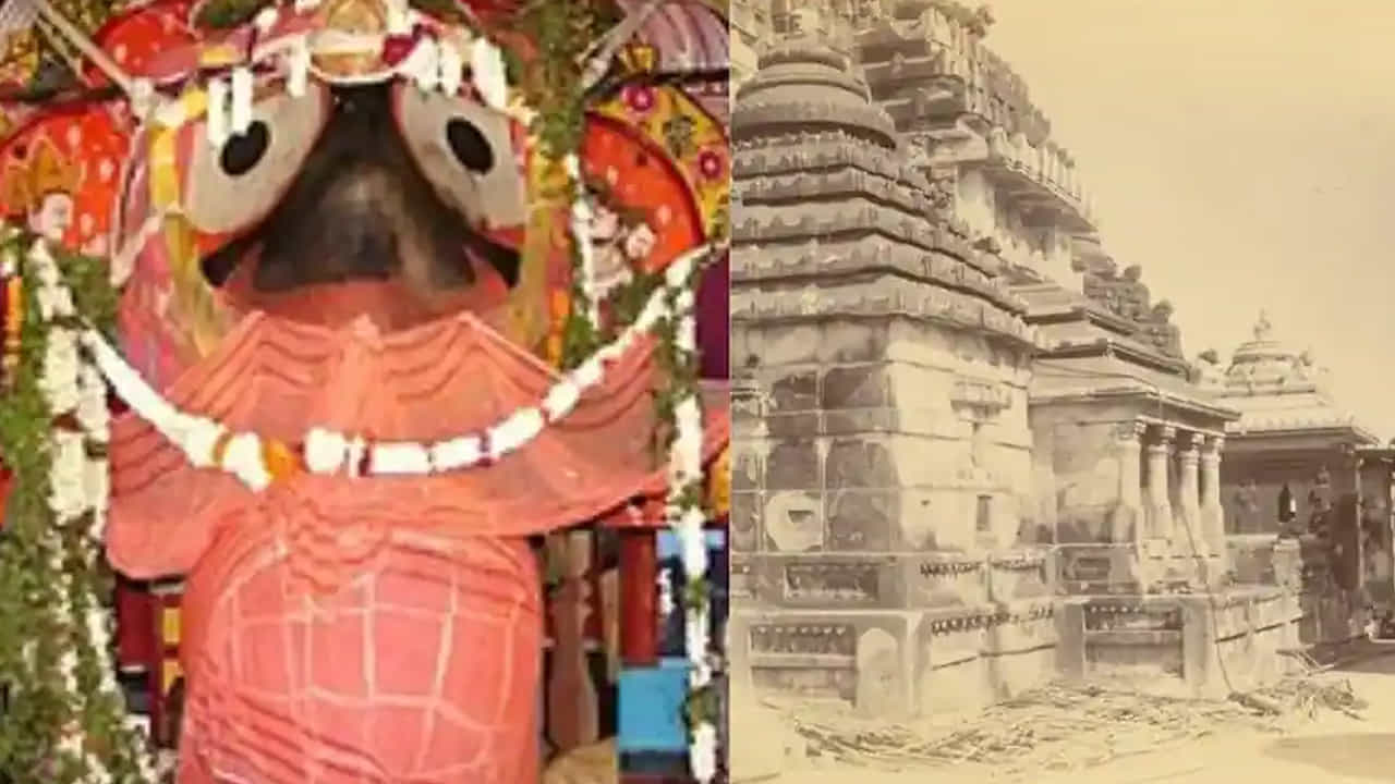 ఒడిశాలోని విమల ఆలయంలో అమ్మవారికి ప్రసాదంగా చేపలు, మటన్ నైవేద్యంగా నైవేద్యం పెడతారు. దుర్గా దేవి రూపంగా పరిగణించబడే విమల మాత, జగన్నాథ ఆలయ సముదాయం లోపల ఉంది. దీనిని శక్తిపీఠంగా భావిస్తారు.