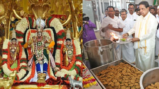 Holi 2025: ఆ గ్రామంలో వింత సంప్రదాయం.. హోలీ రోజున గాడిదపై కొత్త అల్లుడి ఊరేగింపు..