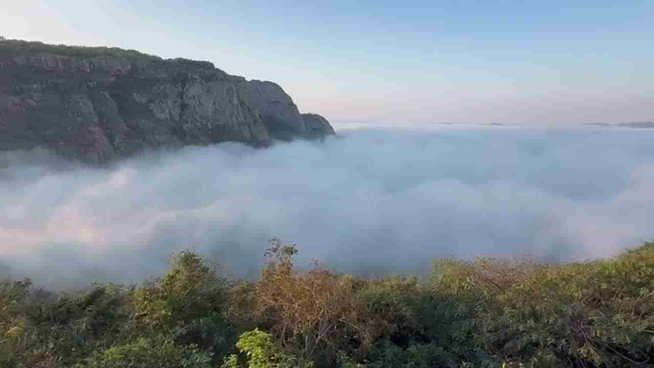 Watch: తిరుమల కొండలను కమ్మేసిన పొగమంచు.. పాల సముద్రాన్ని తలపించే ఆ అద్భుత దృశ్యాలు ఇవిగో..