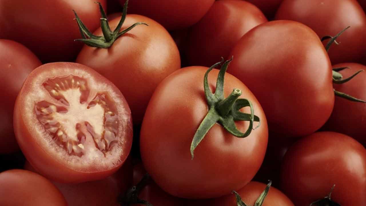 టమాటాలలో ఉండే లైకోపీన్ యాంటీఆక్సిడెంట్ లక్షణాలను కలిగి ఉంటుంది. వీటిని మీ ఆహారంలో చేర్చుకోవడం వల్ల చర్మ ఆరోగ్యాన్ని కాపాడుకోవచ్చు. దీనిలో చర్మ నష్టం నుంచి రక్షించే శక్తిమంతమైన యాంటీఆక్సిడెంట్‌లు ఉంటాయని నిపుణులు చెబుతున్నారు. అంతేగాదు సూర్యరశ్మి, కాలుష్యం, పర్యావరణ ఒత్తిళ నుంచి చర్మాన్ని రక్షించడంలో టమోటాలు సమర్థవంతంగా ఉంటాయని అన్నారు.