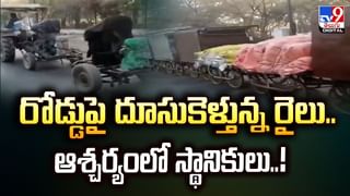 అక్బర్‌ నిర్మించిన శివాలయం తెలుసా..గుర్రాలు గుర్తించిన శివలింగం ఇదే! వీడియో