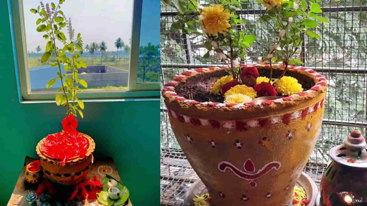 Holi 2025: ఆర్ధిక ఇబ్బందులా.. హోలీ రోజున తులసితో ఈ నిర్వహణలు చేయండి.. ఎన్నడూ డబ్బుకి కొరత ఉండదు..