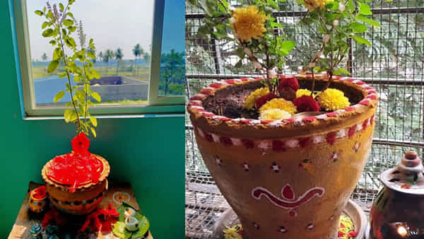 Holi 2025: ఆర్ధిక ఇబ్బందులా.. హోలీ రోజున తులసితో ఈ నిర్వహణలు చేయండి.. ఎన్నడూ డబ్బుకి కొరత ఉండదు..