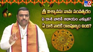 ఉగాది పంచాంగం 2025 : కుంభ రాశివారి ఫలితాలు! వీడియో