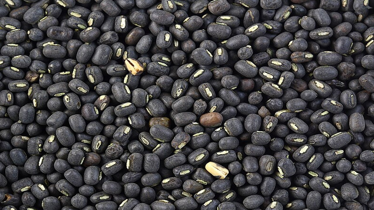 నల్ల మినపప్పు చర్మానికి కూడా చాలా మంచి. ముఖంపై నల్ల మచ్చలు, మొటిమలు వంటివి రాకుండా సహాయపడుతుంది. చర్మంపై మంటను తగ్గించడంలో సహాయపడుతుంది. చర్మం కాంతివంతంగా, ప్రకాశవంతంగా కనిపించేలా చేయడానికి చర్మం వైపు మరింత ఆక్సిజన్‌తో కూడిన రక్తాన్ని తీసుకురావడంలో సహాయపడుతుంది.