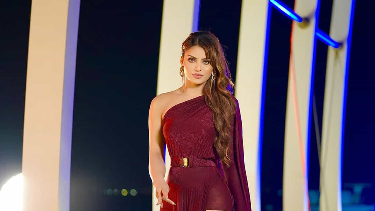 ఇక రీసెంట్గా ఈ చిన్నది డాకుమహారాజ్ మూవీలో దబిడిదిబిడే అంటూ తన డ్యాన్స్, గ్లామర్తో అదరగొట్టింది. ఈ మూవీ సక్సెస్ ఏంజాయ్ చేస్తున్న ఈ ముద్దుగుమ్మ తెలుగులో మరో రెండు సినిమాల్లో కూడా ఛాన్స్ కొట్టేసినట్లు తెలుస్తోంది.