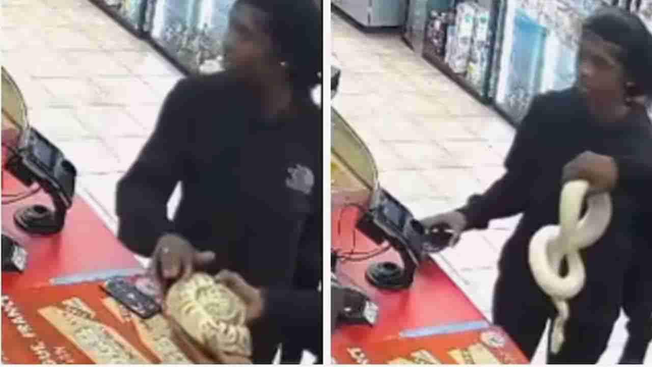 Watch: దొంగలు బాబోయ్ దొంగలు.. చేతిలో కొండచిలువ పట్టుకుని చోరీకి యత్నం..! సీసీ ఫుటేజ్‌ వైరల్‌..