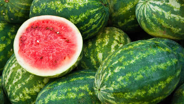 Watermelon Tips: ఇలాంటి పుచ్చకాయ కనిపిస్తే.. ఎంత రేటైనా సరే వెంటనే కొనేయండి..