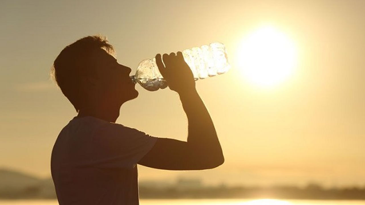Health Tips: ఎండాకాలంలో రోజుకు ఎన్ని గ్లాసుల నీరు తాగాలి.? అతిగా తాగితే ఏమవుతుందో తెల్సా