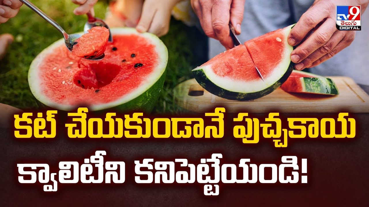 పుచ్చకాయ కట్ చేయకుండానే.. క్వాలిటీని కనిపెట్టేయండి ఇలా..
