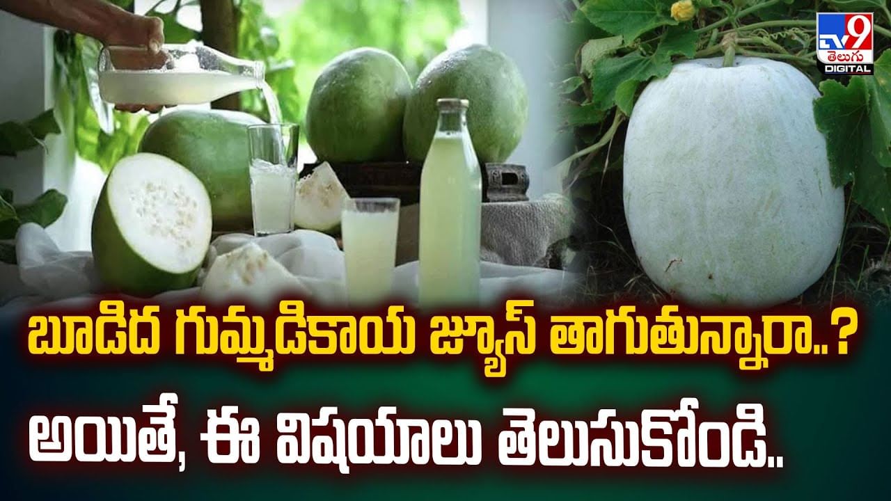 బూడిద గుమ్మడికాయ జ్యూస్‌ తాగుతున్నారా..? అయితే, ఈ విషయాలు తెలుసుకోండి..